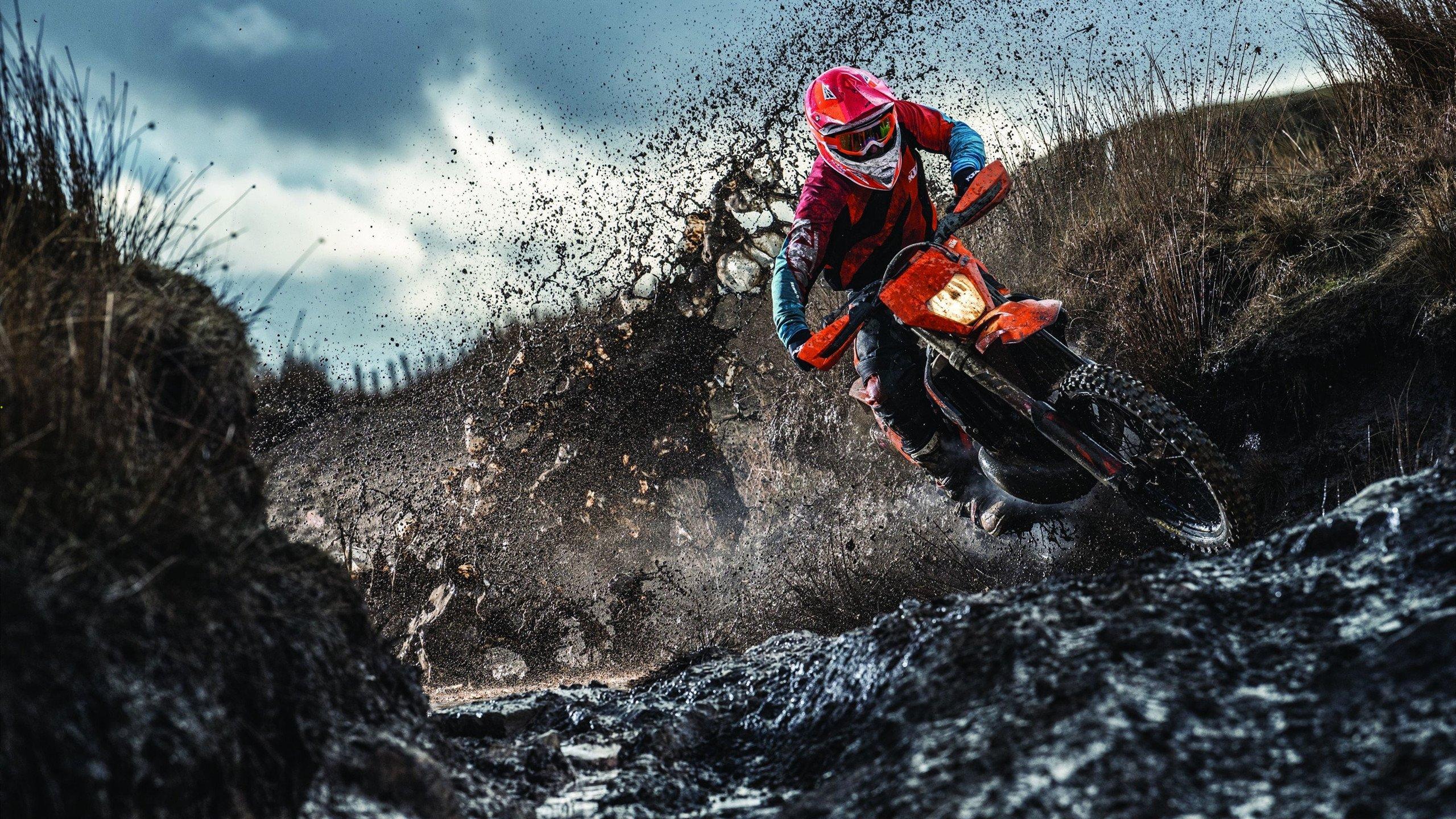 体育经济崛起,赛事商业化推动产业新格局